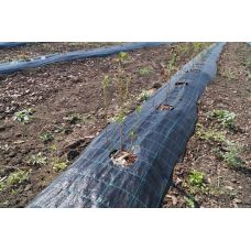 Геотекстиль тканый / агроткань Agrocover 100 г/м2 4.20x100 м