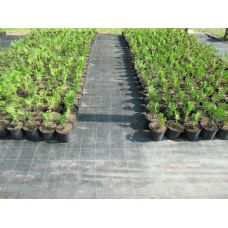 Геотекстиль тканый / агроткань Agrocover 100 г/м2 4.20x100 м
