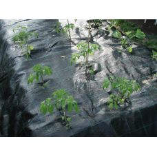 Геотекстиль тканый / агроткань Agrocover 100 г/м2 4.20x100 м