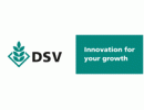 DSV