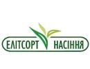 Елітсорт насіння