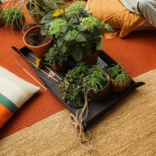 Складной садовый коврик для растений Fiskars