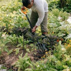 Вилы садовые Fiskars Solid