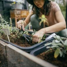 Культиватор Fiskars Solid