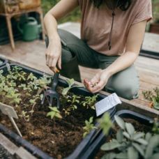 Культиватор Fiskars Solid