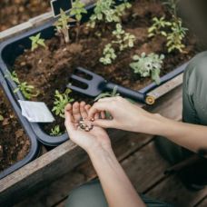 Культиватор Fiskars Solid