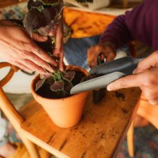 Садовая лопатка и щетка Fiskars для пересадки растений