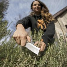 Нож складной Gerber Flatiron Folding Cleaver G10 31-003686 (1027873)
