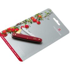 Ніж Victorinox Budding Combi 2 садовий 100мм/3функ/матовий червоний, блістер