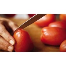 Кухонний ніж Victorinox Paring, 10 см, з черв. ручкою