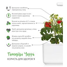 Сменный картридж Click and Grow Мини томат 7304 (3 капсулы)