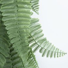 Искусственная ветвь Engard "Persian fern", 65cм (AV-01)