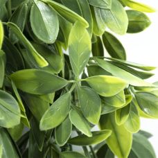 Штучна гілка Engard "Schefflera", 65cм (AV-02)