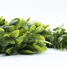 Штучна гілка Engard "Schefflera", 65cм (AV-02)
