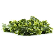 Штучна гілка Engard "Schefflera", 65cм (AV-02)