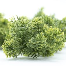 Искусственная ветвь Engard "Houttuynia Cordata", 65см (AV-04)