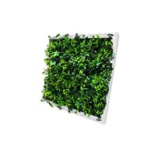 Декоративная фитокартина Engard Тропический плющ 55х55 см (FP-32)