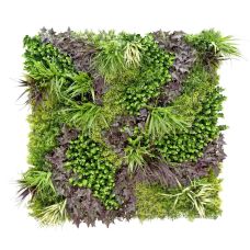 Декоративне модульне покриття Engard Фітостіна Monet Gardens 100х100 см (GCK-25)