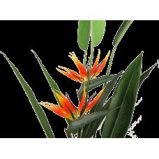 Искусственное растение Strelitzia 140 см Engard (DW-09)