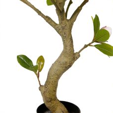 Искусственное растение Magnolia / Магнолия 150 см Engard (DW-19)