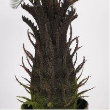 Искусственное растение Cycas Palm / Пальма 60 см Engard (DW-25)