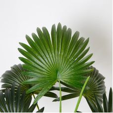 Искусственное растение Fan Palm / Пальма 95 см Engard (DW-26)