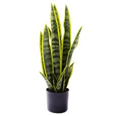 Искусственное растение Engard Sansevieria, 57 см (TW-43)