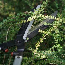 Кусторез, 60 см, 1040 грамм, 240 мм лезвие C70 (58HRC), FALKET (FAL6022)