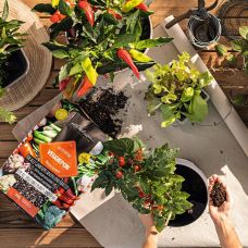 Субстрат Lechuza для овочів Veggie Pon 12 л