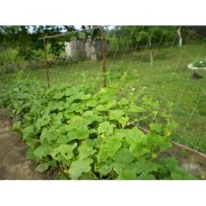 Сітка шпалерна Agreen (1.7*1000м)