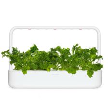 Сменный картридж Click and Grow Горчица васаби 2392 (3 капсулы)