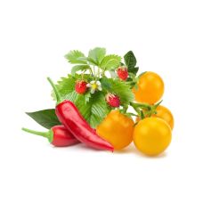 Сменный картридж Click and Grow Фрукты и овощи, микс 2453 (9 капсул)
