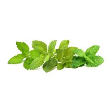 Сменный картридж Click and Grow Успокаивающий чай, микс 2507 (9 капсул)
