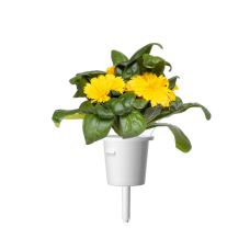 Сменный картридж Click and Grow Календула 3160 (3 капсулы)