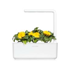 Сменный картридж Click and Grow Календула 3160 (3 капсулы)