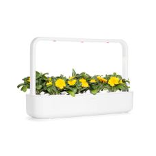 Сменный картридж Click and Grow Календула 3160 (3 капсулы)