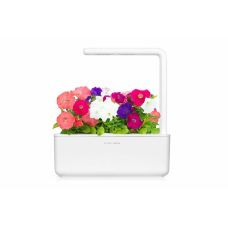Сменный картридж Click and Grow Петуния 74410 (3 капсулы)