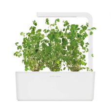 Змінний картридж Click and Grow Майоран 7571 (3 капсули)