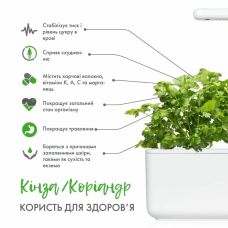Сменный картридж Click and Grow Кориандр 8417 (3 капсулы)