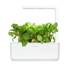 Сменный картридж Click and Grow Зеленый щавель 9001 (3 капсулы)