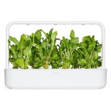 Сменный картридж Click and Grow Зеленый щавель 9001 (3 капсулы)