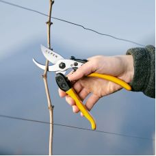 Садовый секатор Alpen Gelbhorn 150 / Альпен Гелбхорн 150 обводной Швейцария