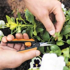 Ножиці Fiskars Solid Micro-Tip SP13 для рослин (1051600)