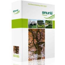 Каталог Брунс 2021-2022 (Видавництво Bruns)