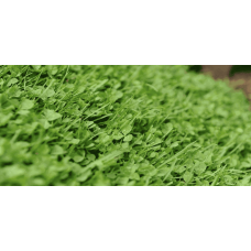 Микроклевер Пиполина / Pipolina DLF Trifolium 0,45 кг *12 шт