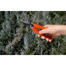 Садовый секатор Stocker 347 Universal 18 для сбора урожая (Штокер)
