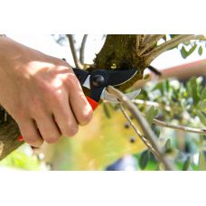 Секатор Stocker 364 з ковадлом