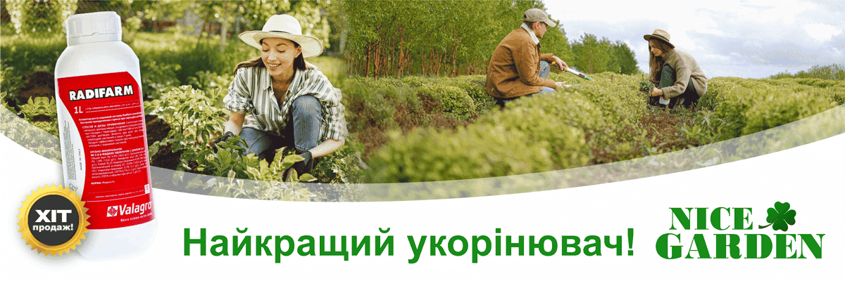 Радіфарм / Radifarm Valagro, Італія