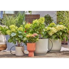 Комплект для полива Gardena Micro-Drip-System Balcony Set на 15 растений