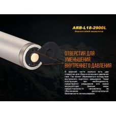 Акумулятор 18650 Fenix (2900 mAh)